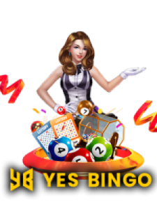 yes bingo